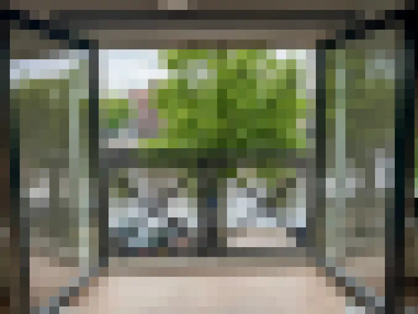 Spaarne 67 A Haarlem thumbnail 7