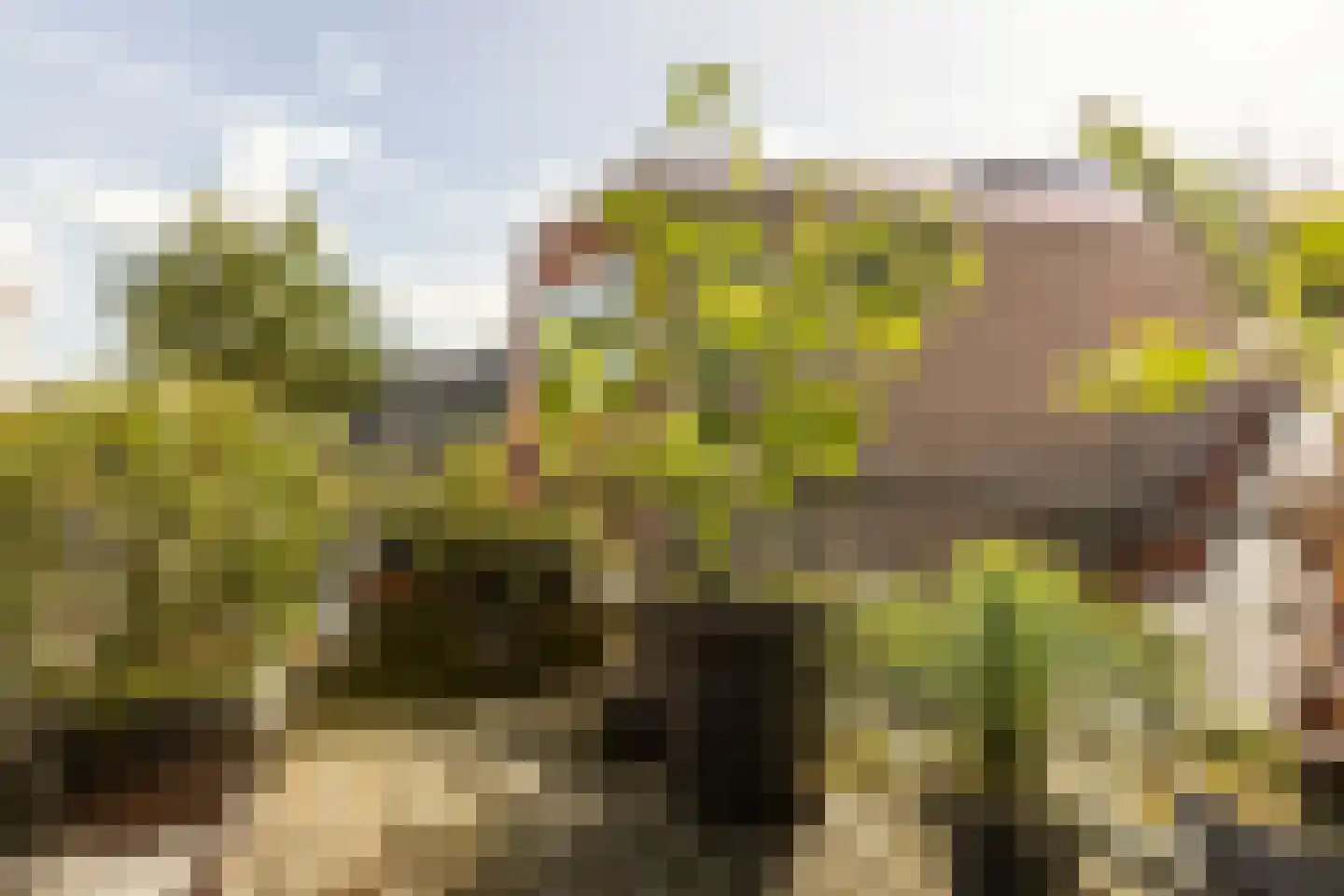 Spaarne 67 C Haarlem thumbnail 33