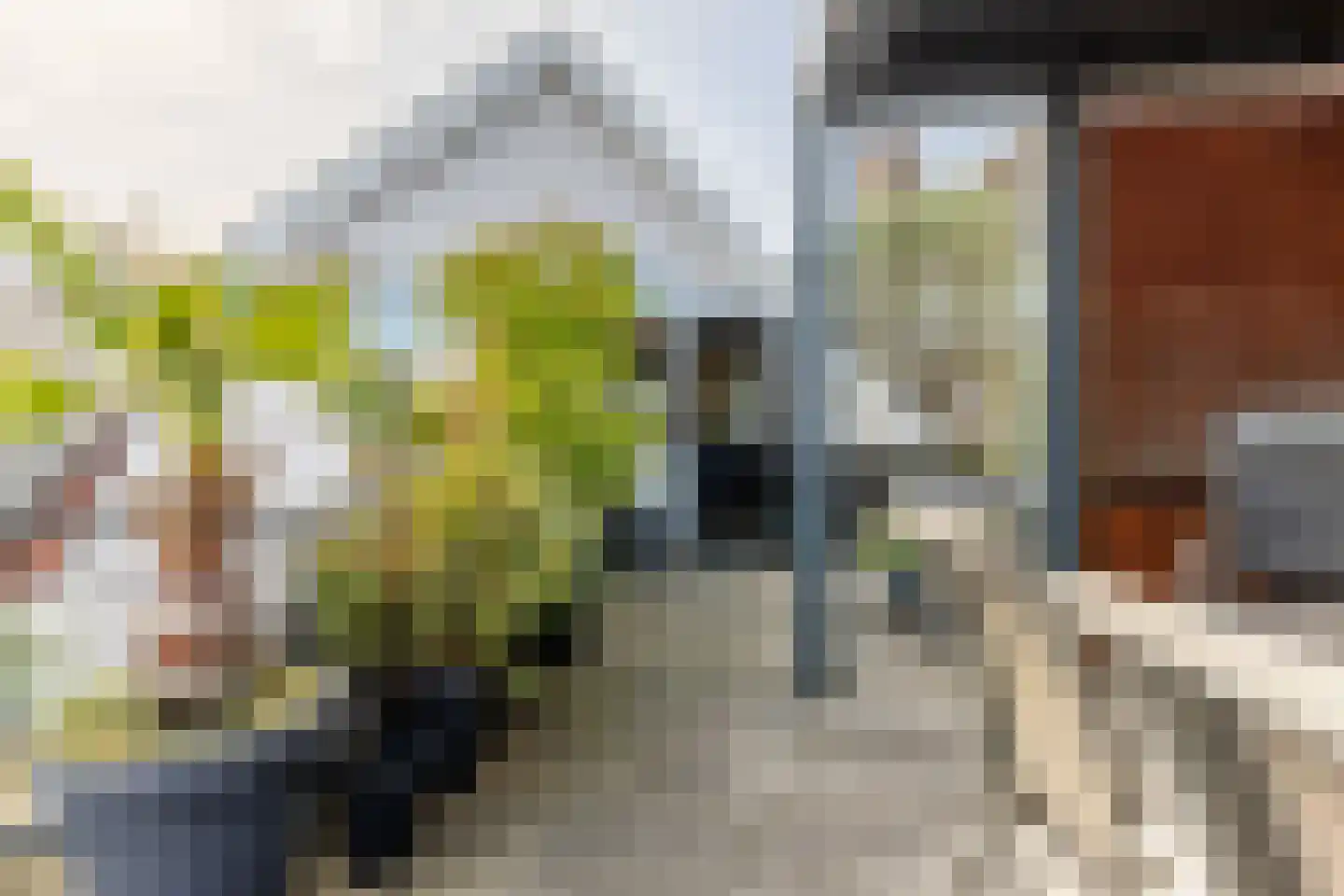 Spaarne 67 C Haarlem thumbnail 34