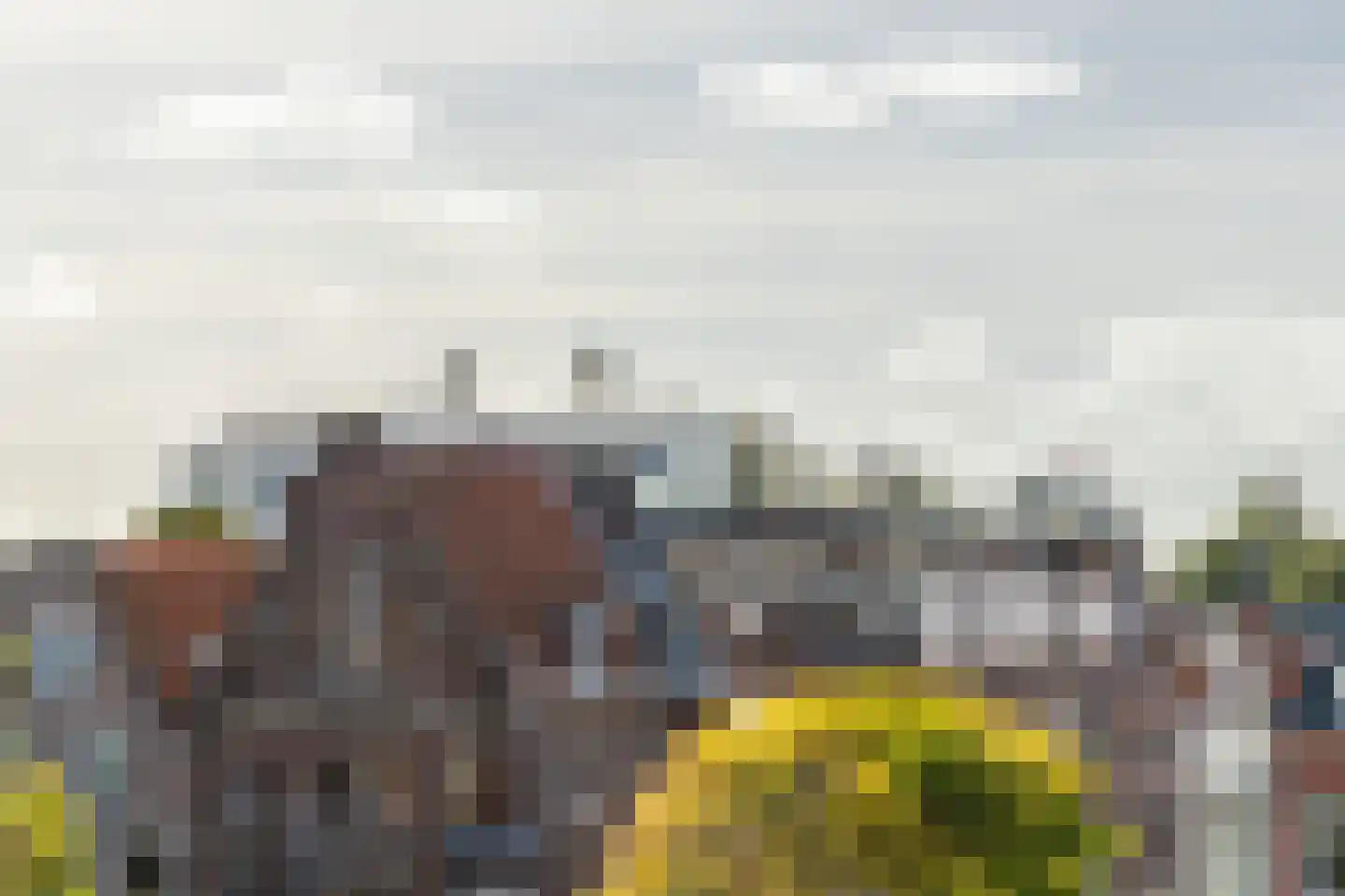 Spaarne 67 C Haarlem thumbnail 7