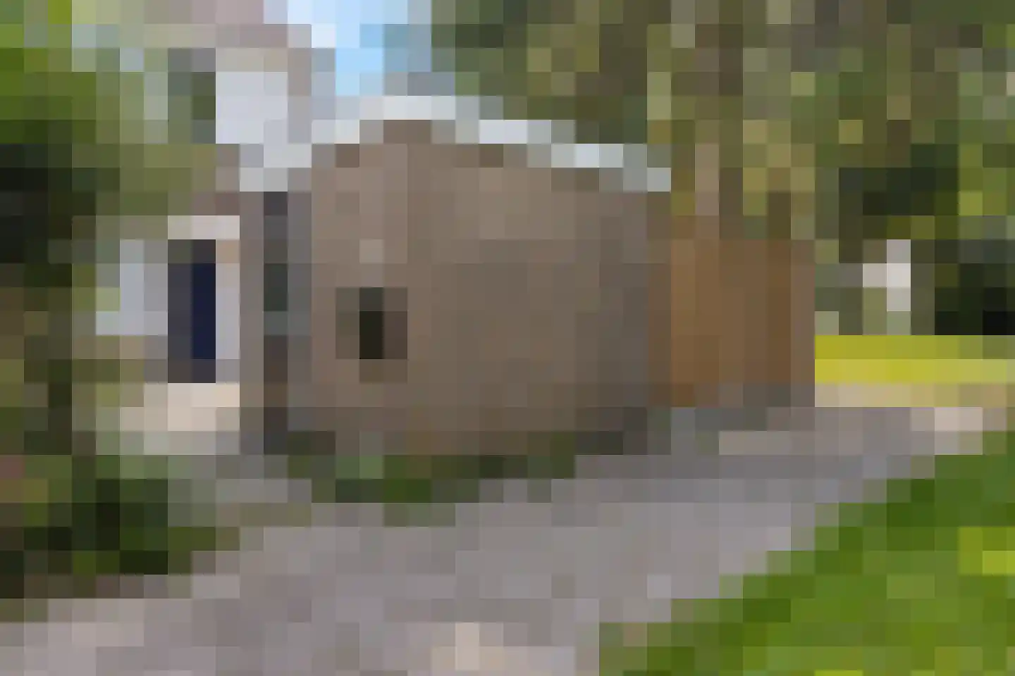 Spaarne 7 Emmeloord thumbnail 28