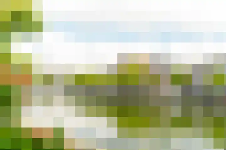 Spaarne 73 D Haarlem thumbnail 6