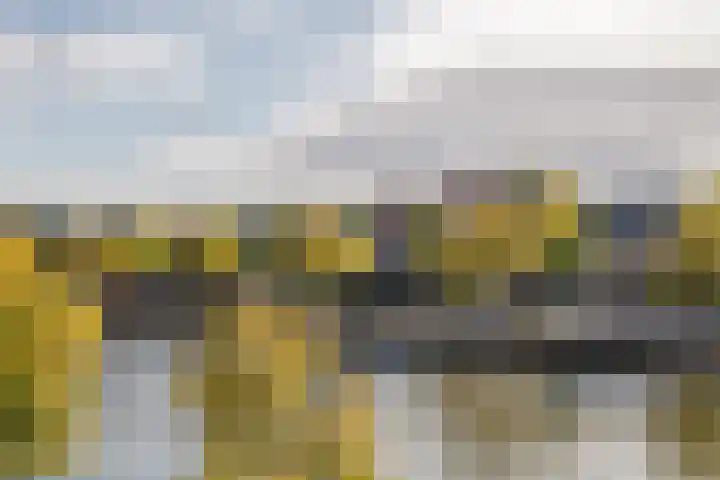 Spaarne 73 Haarlem thumbnail 13