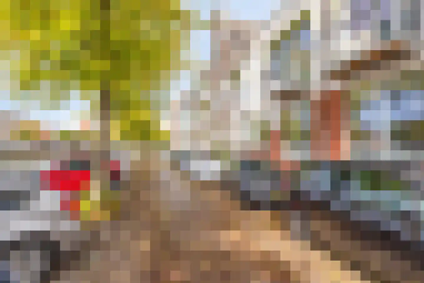 Spaarne 79 B Haarlem thumbnail 32