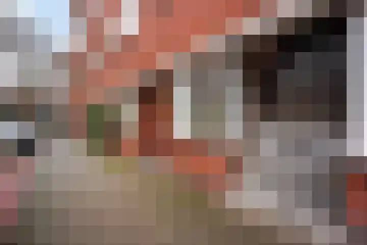 Spaarnedwarsstraat 7 Den Haag thumbnail 10