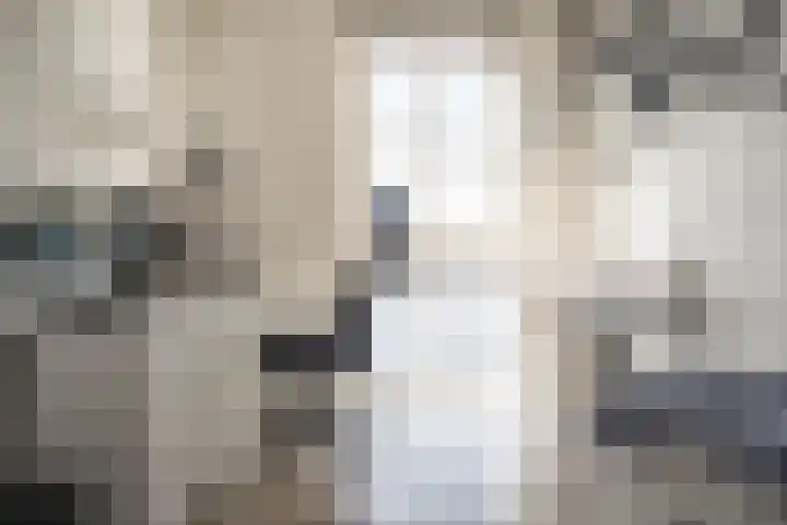 Spaarnekade 20 Spaarndam thumbnail 24