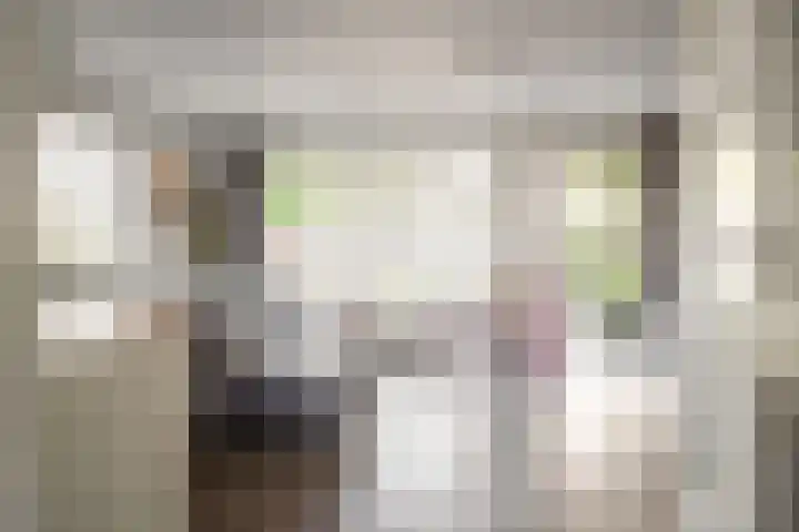 Spaarnekade 20 Spaarndam thumbnail 8