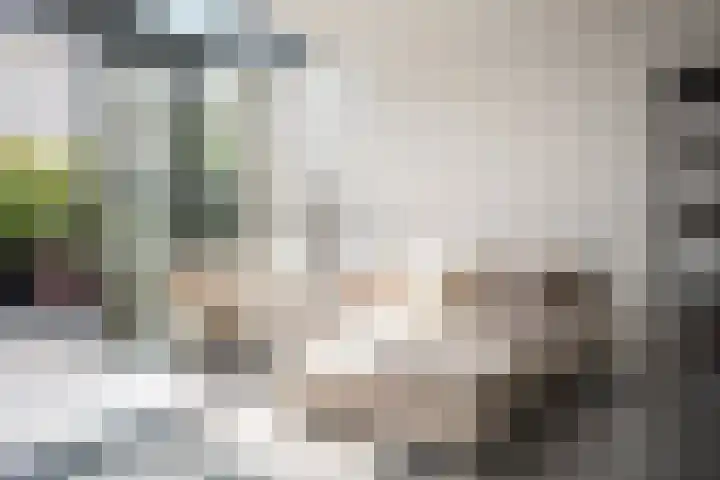 Spaarnekade 22 Spaarndam thumbnail 12