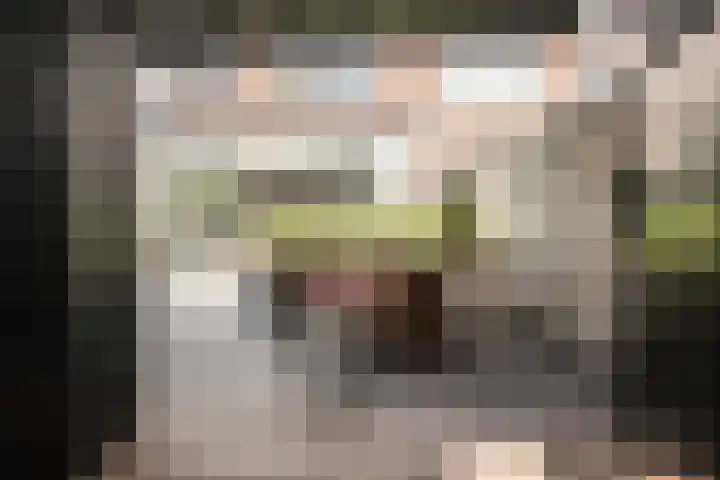 Spaarnekade 22 Spaarndam thumbnail 21