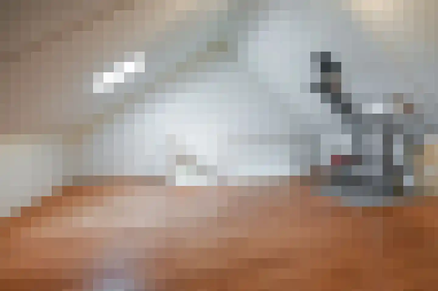 Spaarnekade 6 Spaarndam thumbnail 23