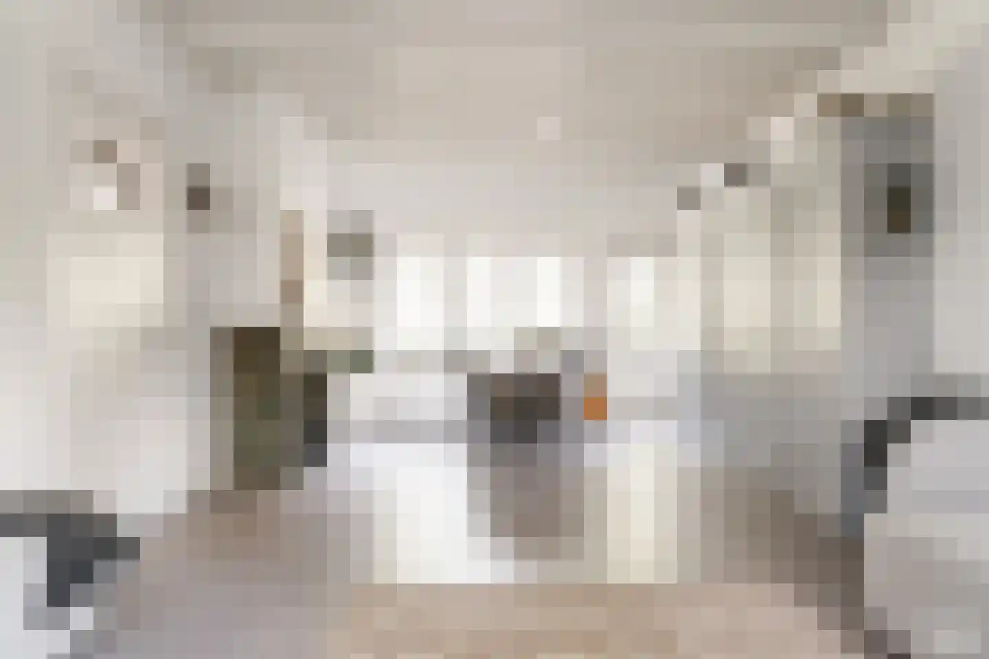 Spaarnelaan 15 Haarlem thumbnail 12