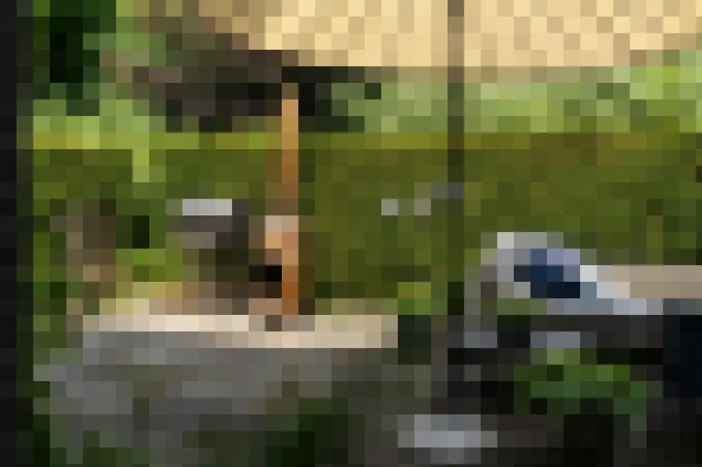 Spaarnelaan 15 Haarlem thumbnail 20