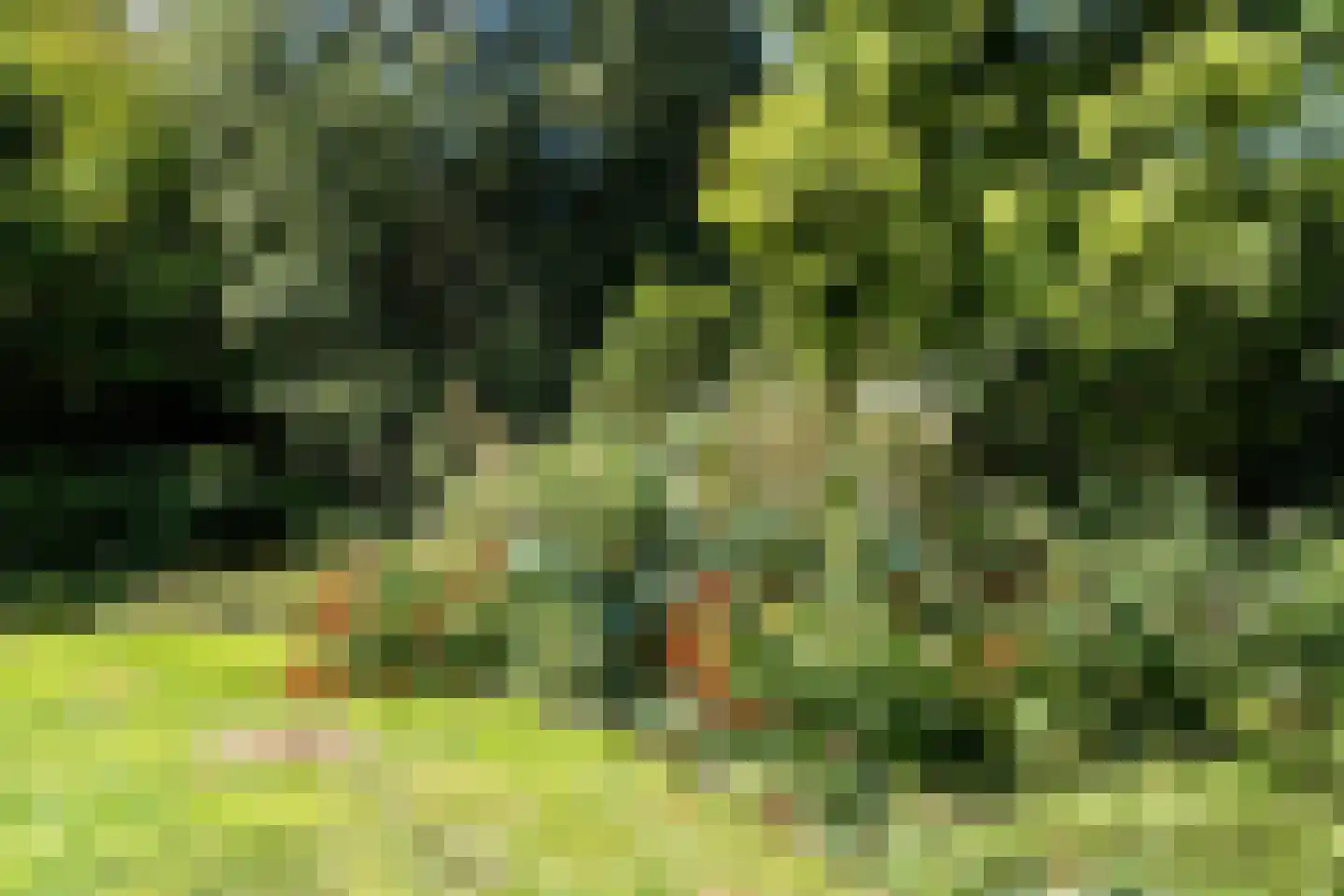Spaarnelaan 15 Haarlem thumbnail 21