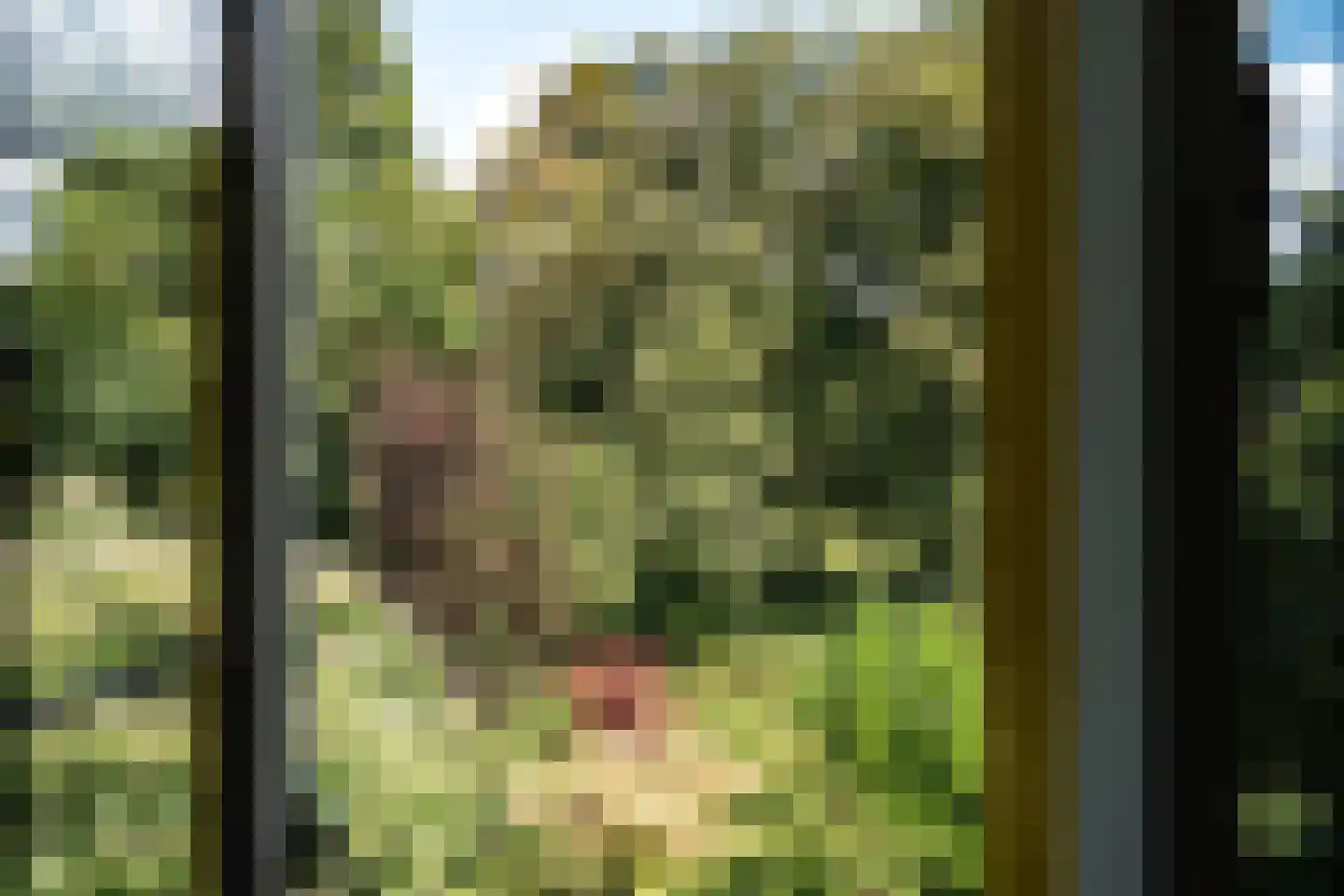 Spaarnelaan 15 Haarlem thumbnail 29