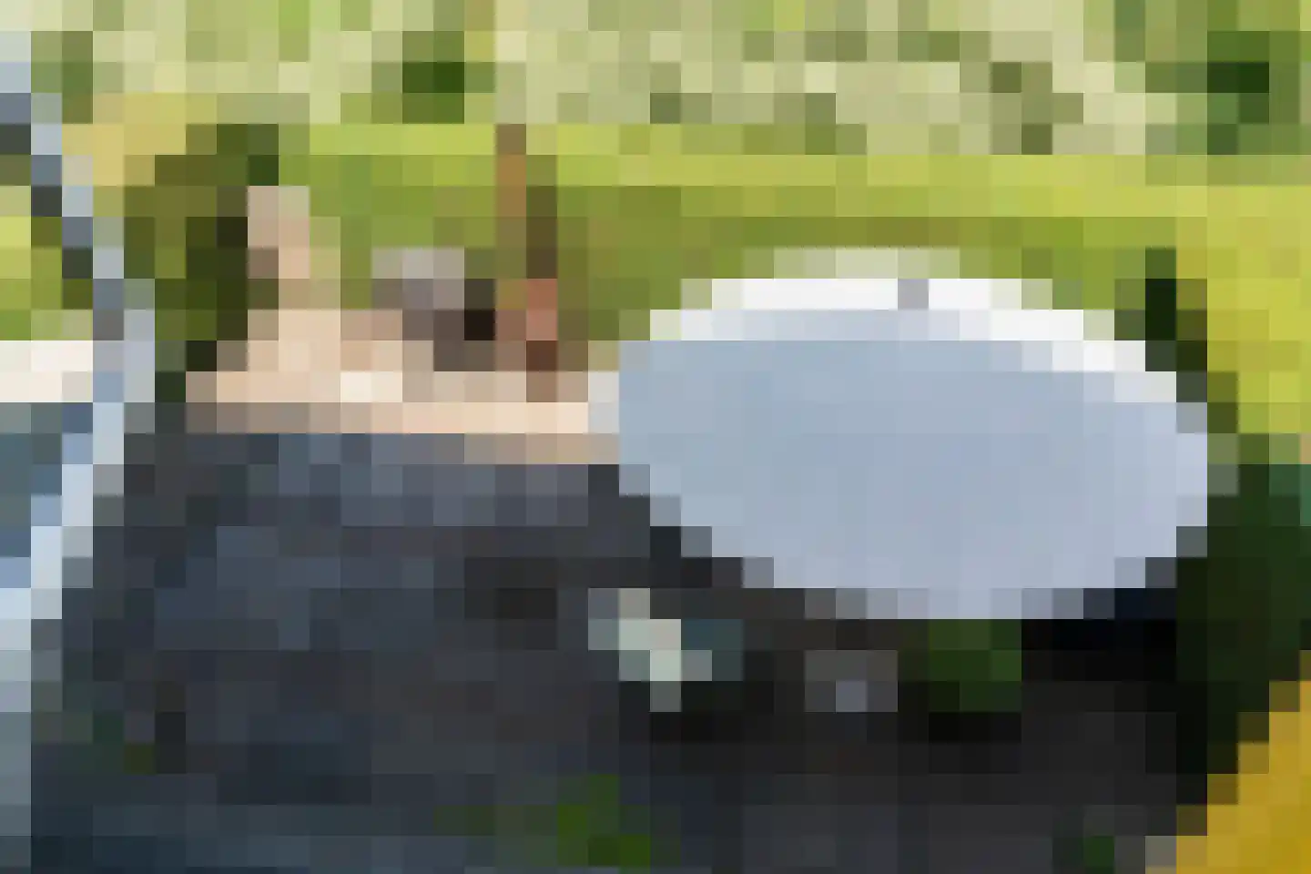 Spaarnelaan 15 Haarlem thumbnail 30