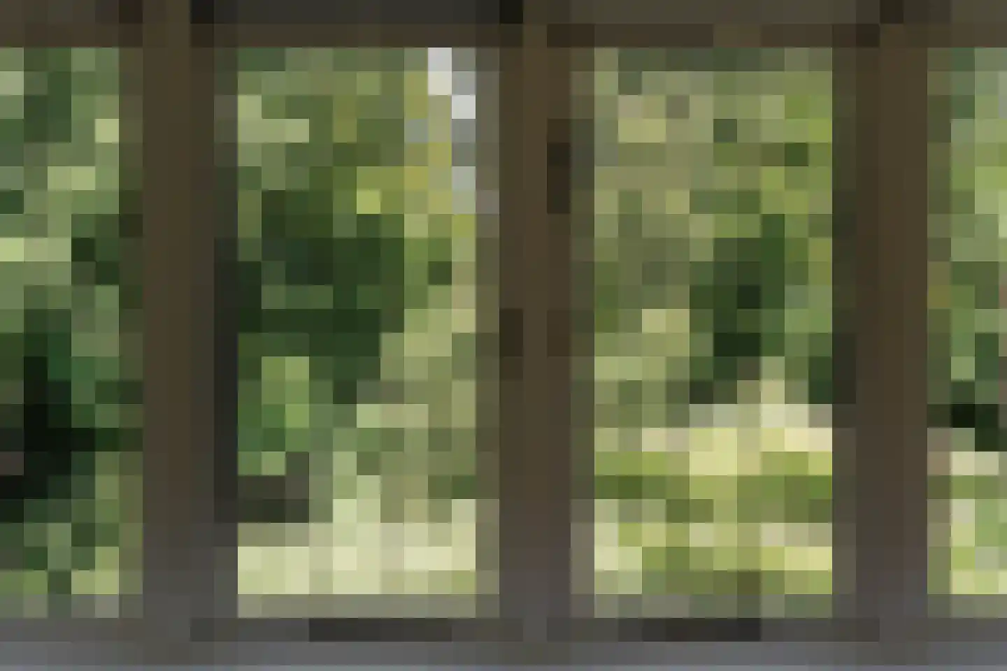 Spaarnelaan 15 Haarlem thumbnail 34