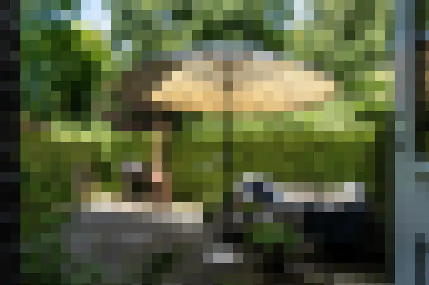 Spaarnelaan 15 Haarlem thumbnail 4