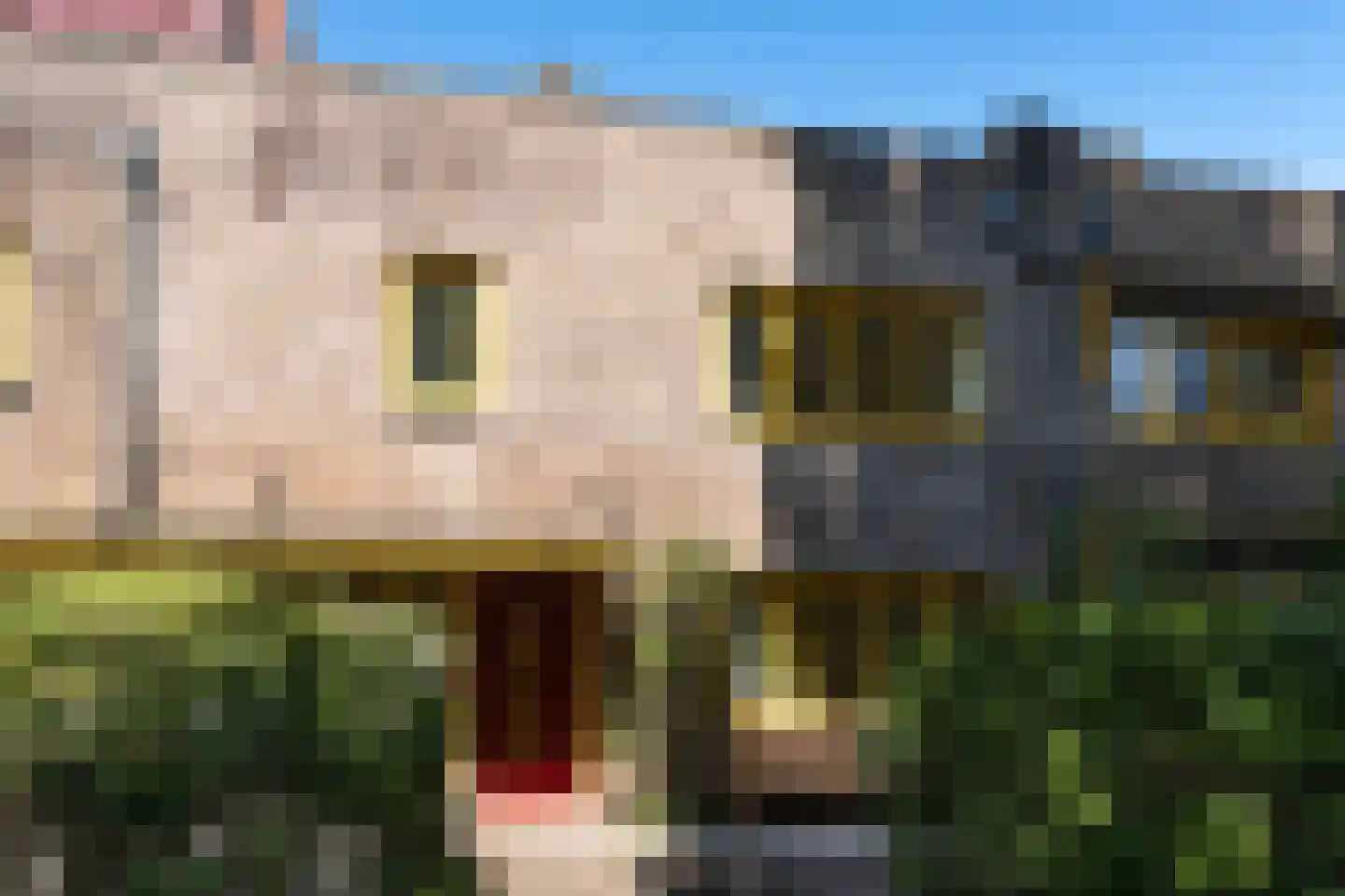Spaarnelaan 15 Haarlem thumbnail 43