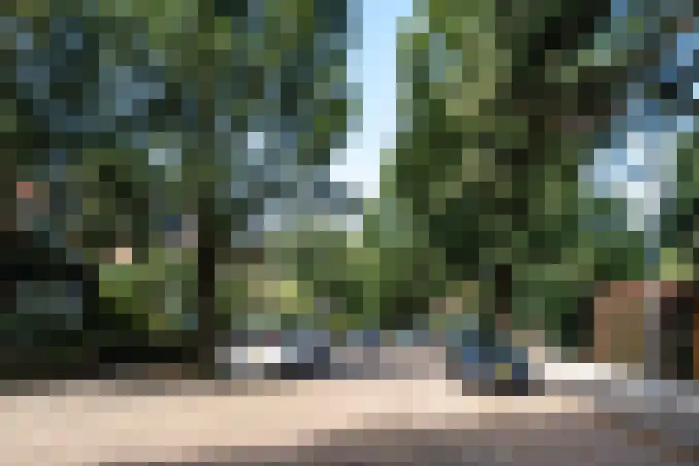 Spaarnelaan 15 Haarlem thumbnail 48