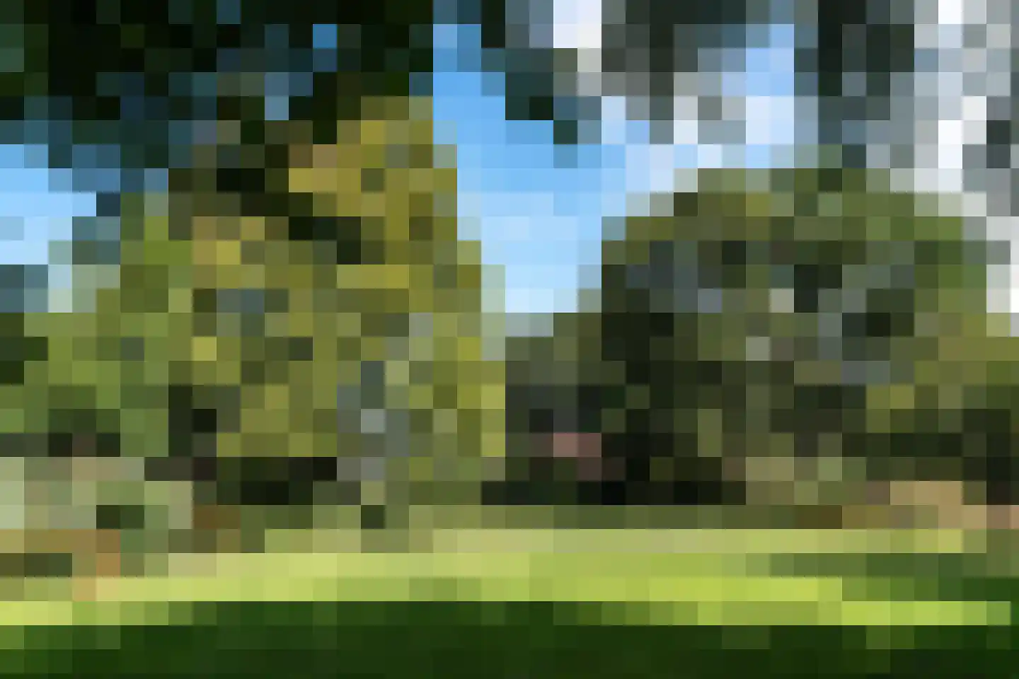 Spaarnelaan 15 Haarlem thumbnail 49