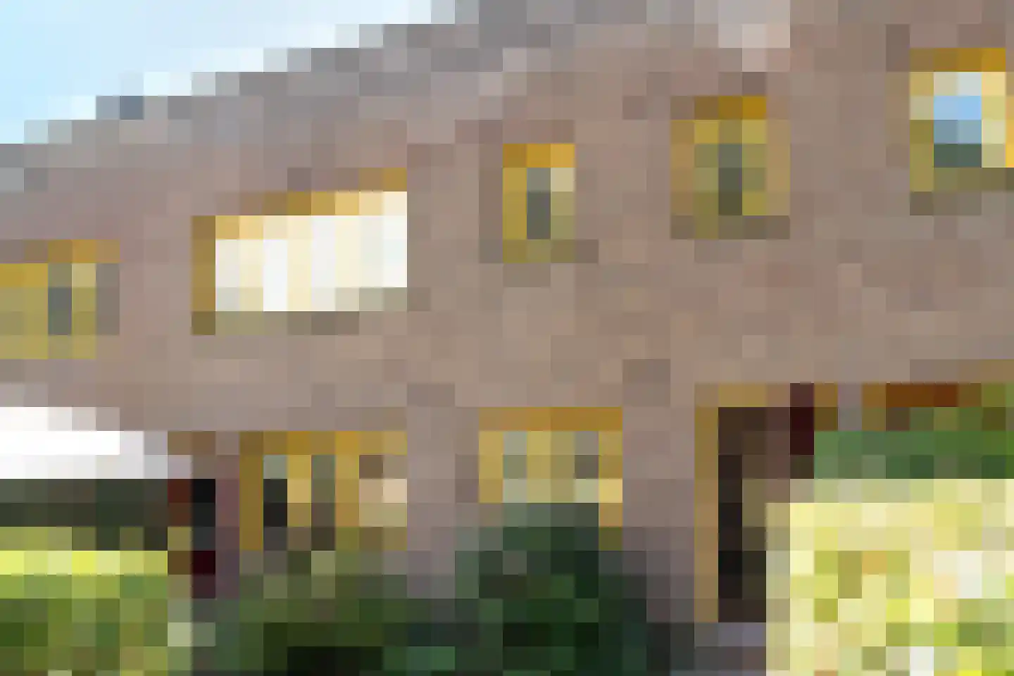 Spaarnelaan 15 Haarlem thumbnail 6