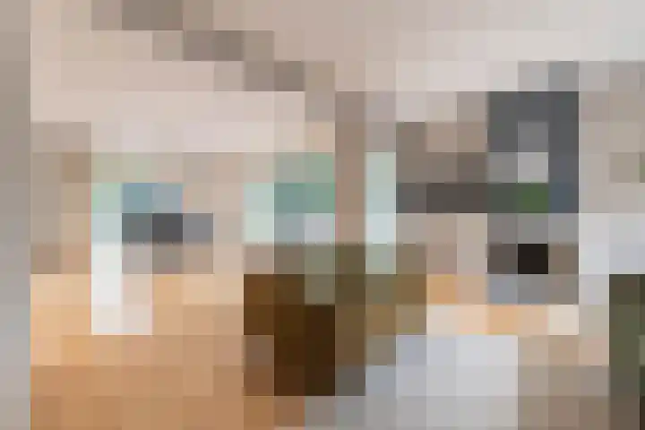 Spaarnelaan 3 Haarlem thumbnail 11