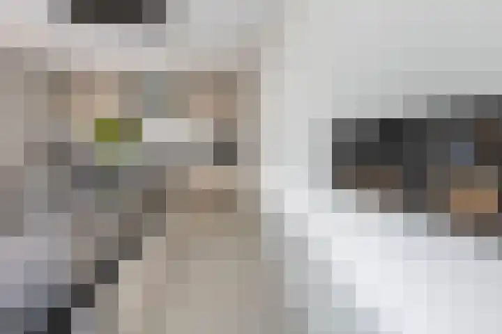 Spaarnelaan 3 Haarlem thumbnail 21
