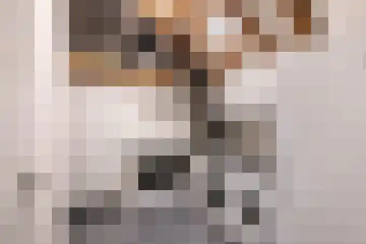 Spaarnelaan 3 Haarlem thumbnail 26