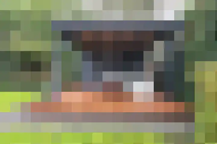 Spaarnelaan 3 Haarlem thumbnail 35