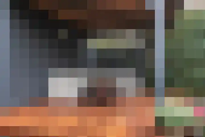 Spaarnelaan 3 Haarlem thumbnail 36