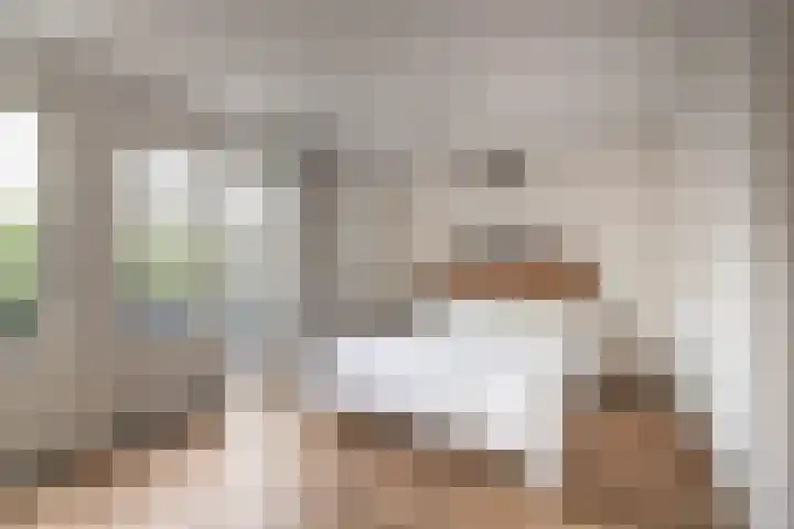 Spaarnelaan 3 Haarlem thumbnail 43