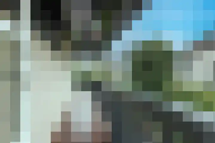 Spaarnelaan 3 Haarlem thumbnail 46