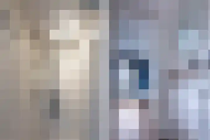 Spaarnelaan 3 Haarlem thumbnail 66