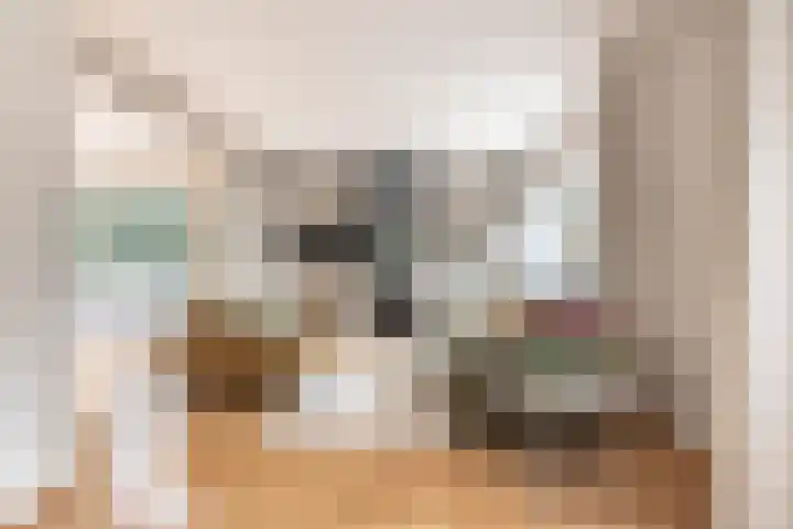 Spaarnelaan 3 Haarlem thumbnail 9