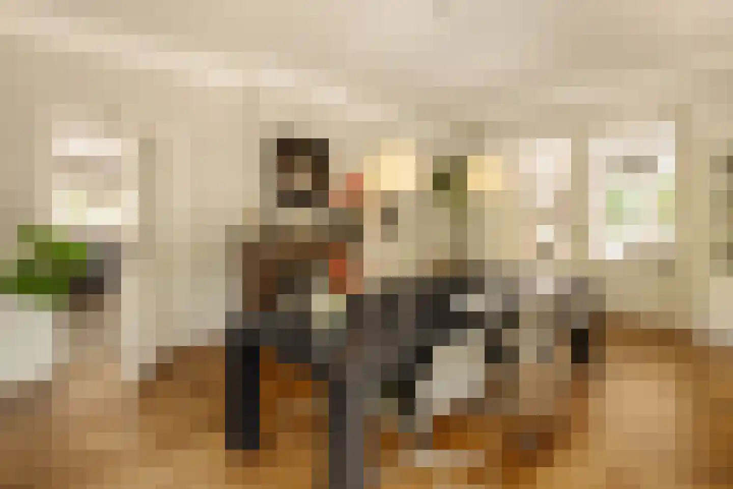 Spaarnelaan 7 Haarlem thumbnail 11