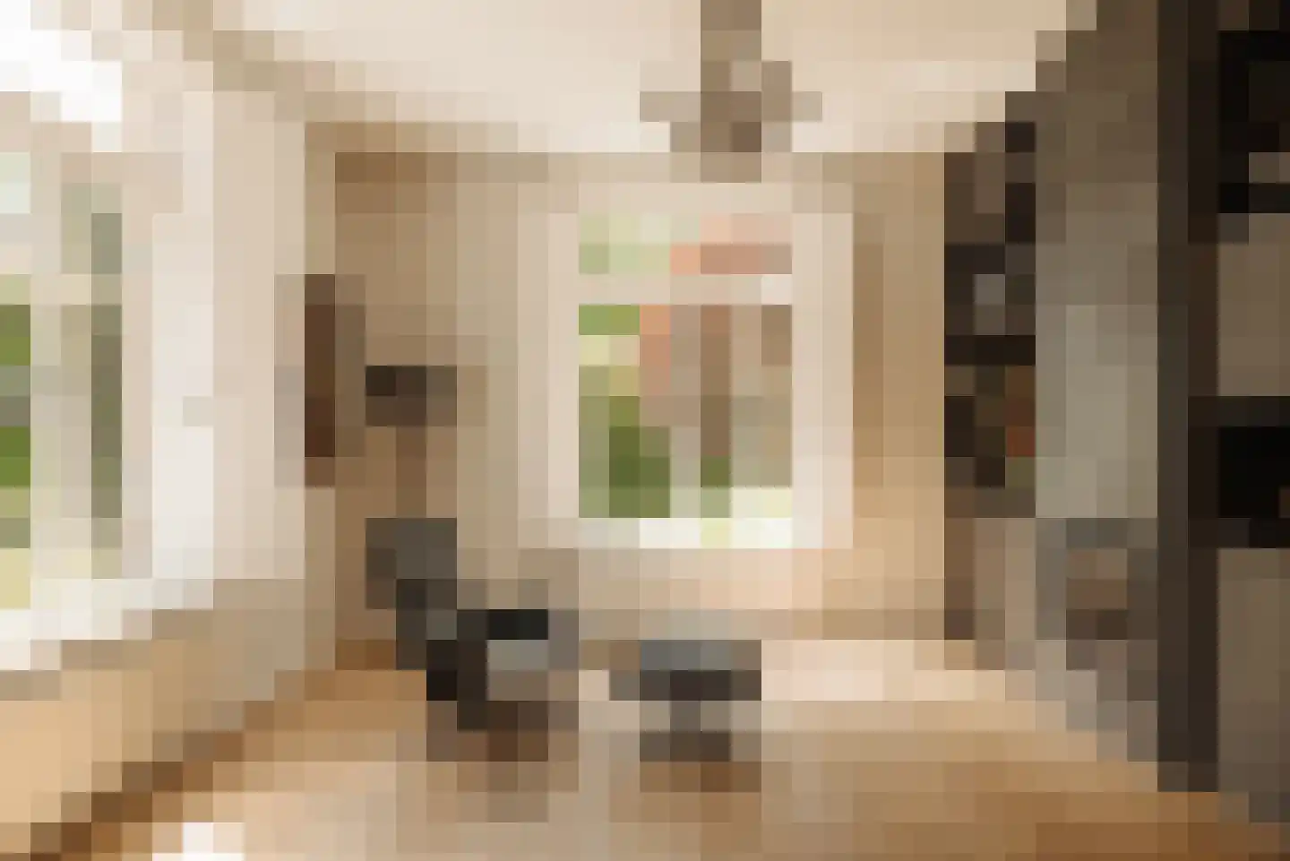 Spaarnelaan 7 Haarlem thumbnail 20