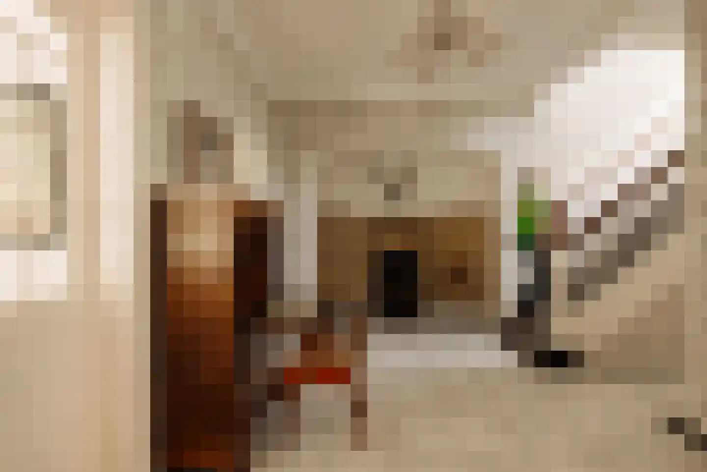 Spaarnelaan 7 Haarlem thumbnail 22