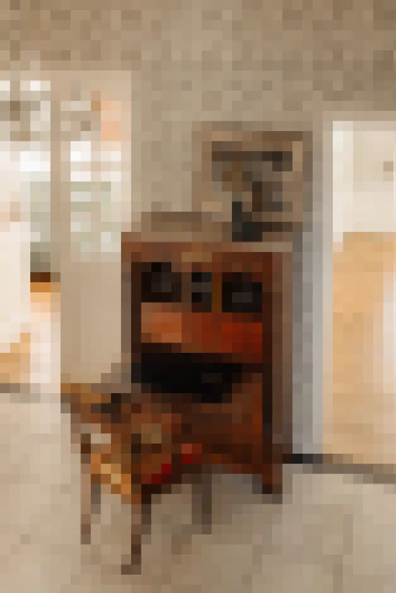 Spaarnelaan 7 Haarlem thumbnail 24