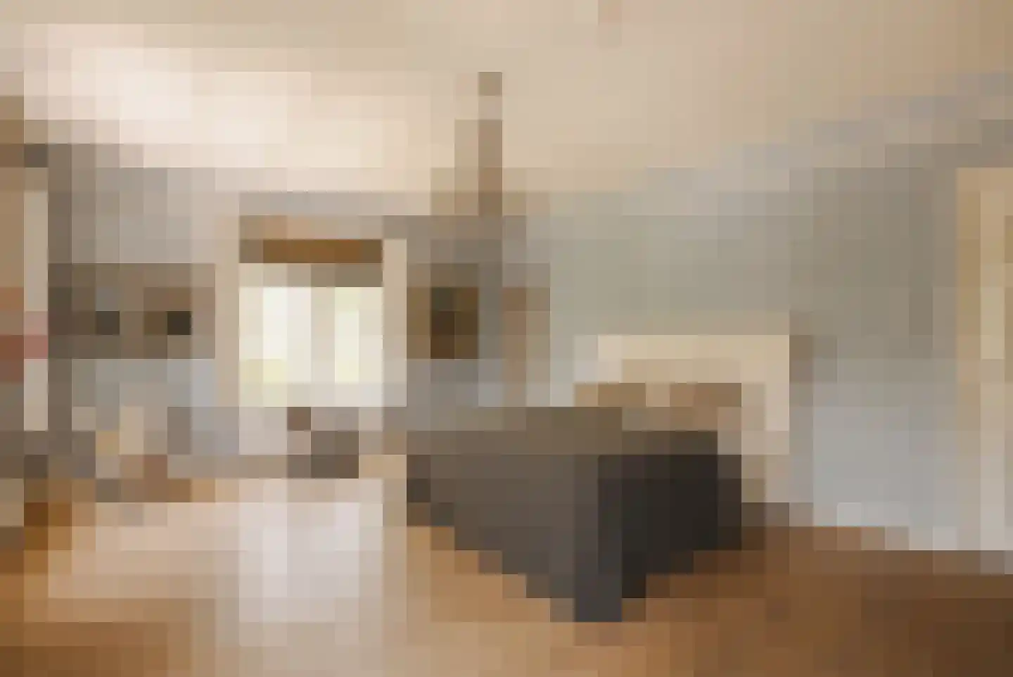 Spaarnelaan 7 Haarlem thumbnail 25