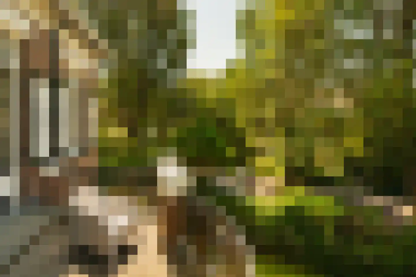 Spaarnelaan 7 Haarlem thumbnail 29
