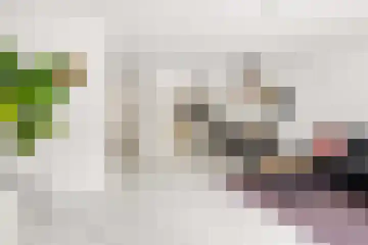 Spaarnestraat 10 Almere thumbnail 11