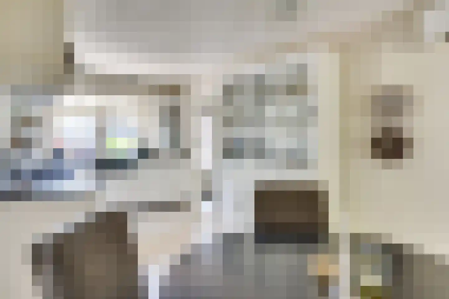 Spaarnestraat 13 Eindhoven thumbnail 20