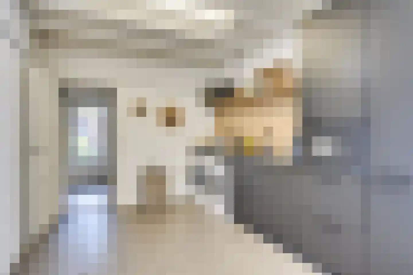 Spaarnestraat 13 Eindhoven thumbnail 26
