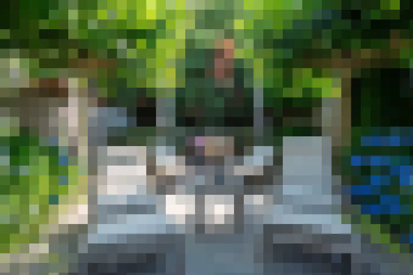 Spaarnestraat 13 Eindhoven thumbnail 39