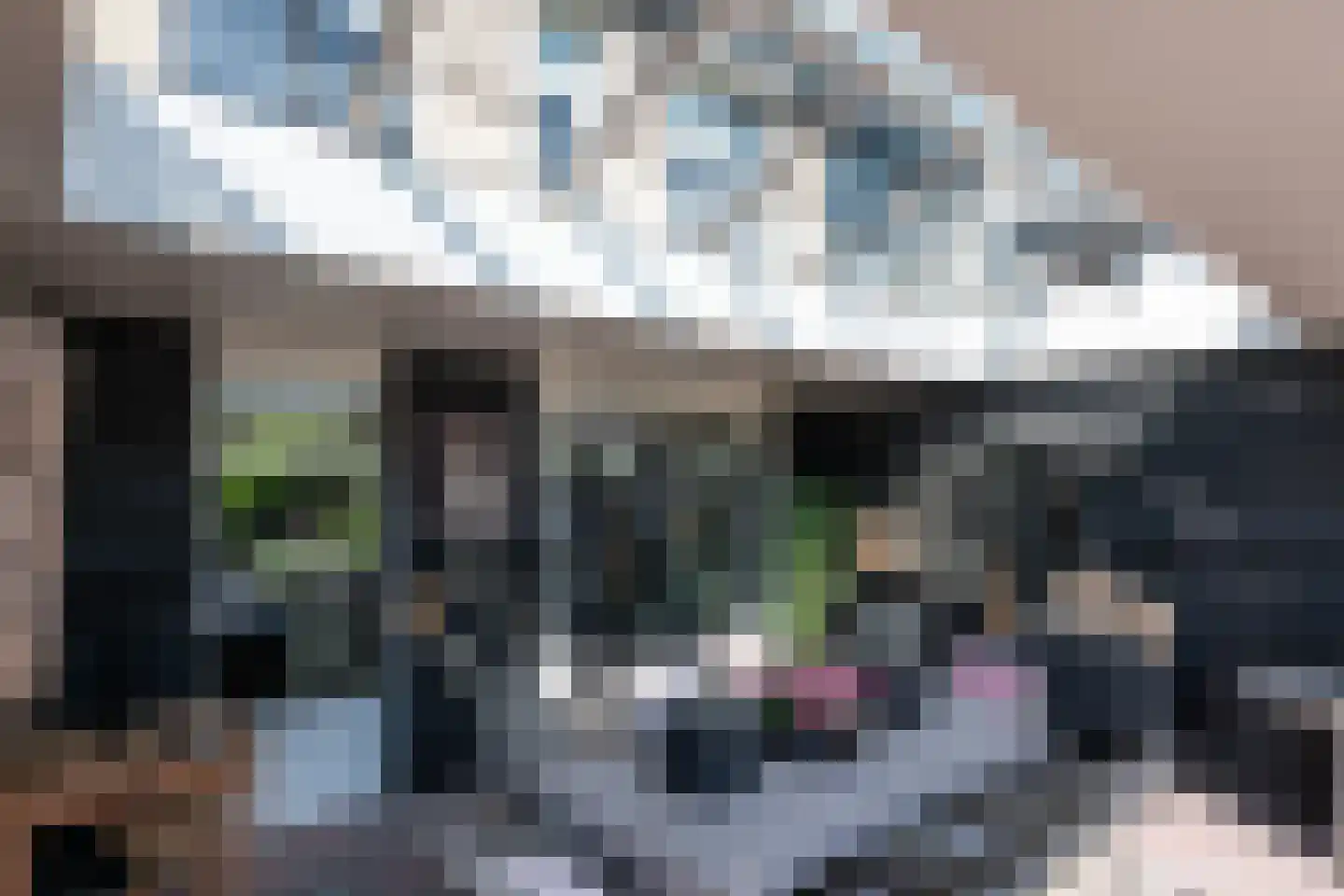 Spaarnestraat 13 Eindhoven thumbnail 44