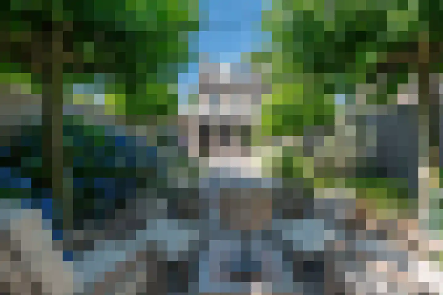 Spaarnestraat 13 Eindhoven thumbnail 7
