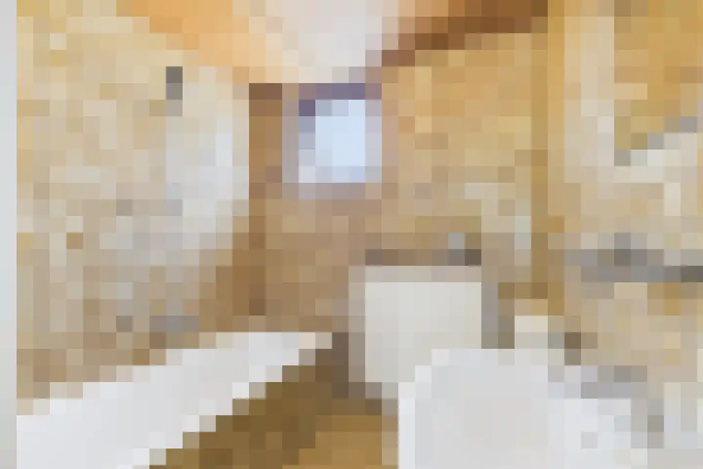 Spaarnestraat 13 Terneuzen thumbnail 15
