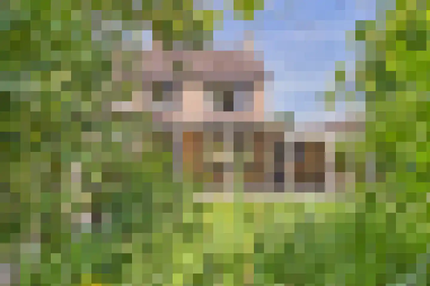 Spaarnestraat 13 Terneuzen thumbnail 19