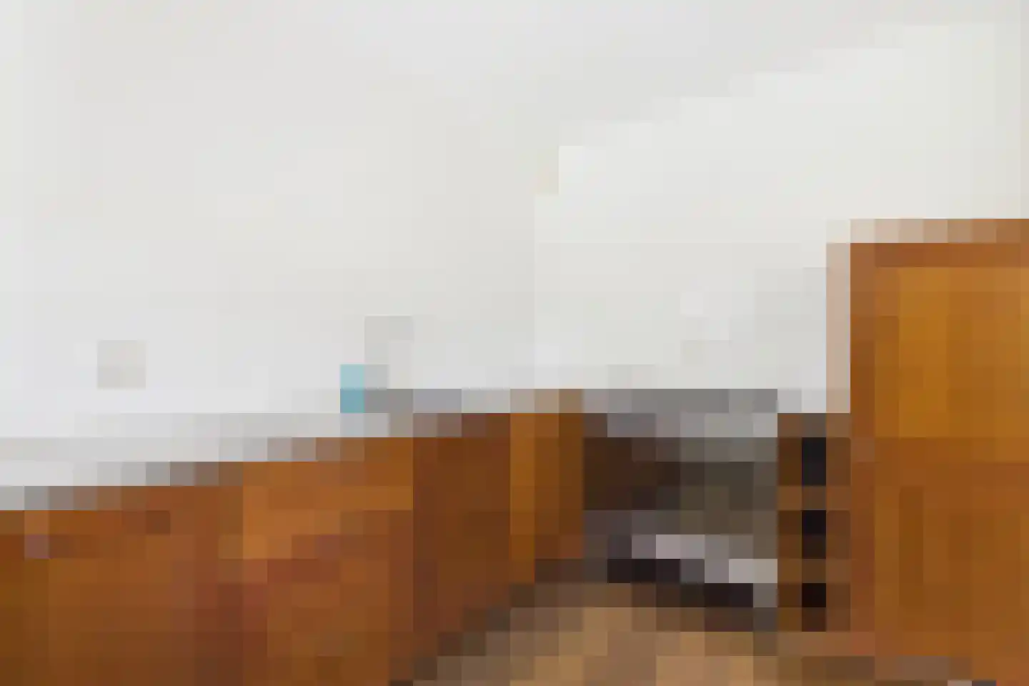 Spaarnestraat 13 Terneuzen thumbnail 8