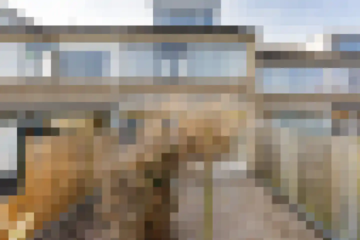 Spaarnestraat 22 Oost-Souburg thumbnail 17